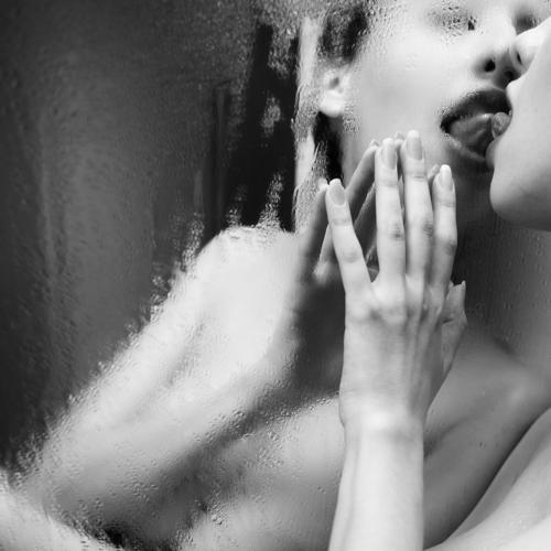 Photo #4383539