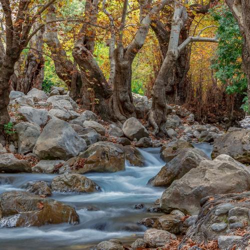 Photo #4383646