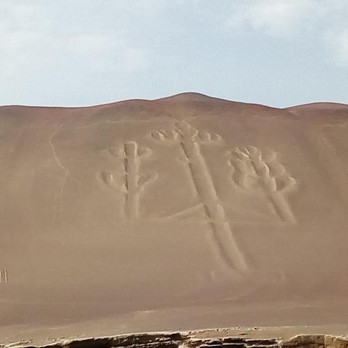 Photo #4383658
