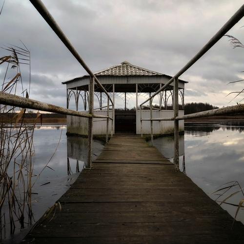Photo #4383870