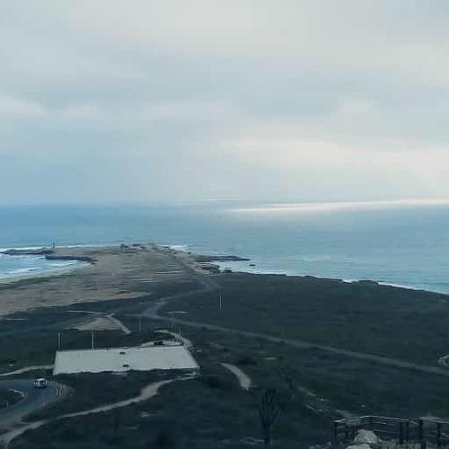 Photo #4383885