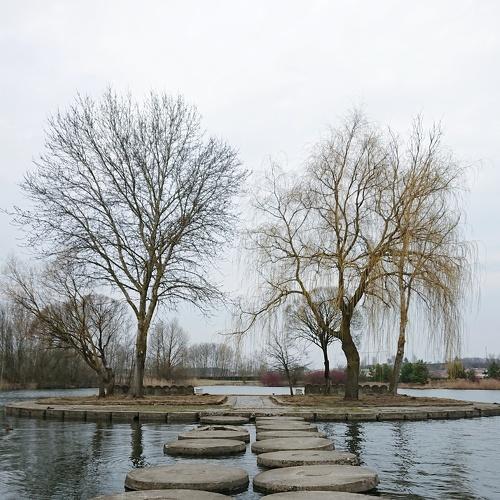Photo #4384049