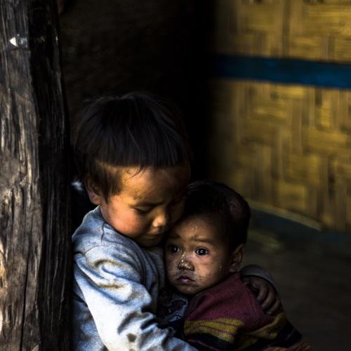 Photo #4384457