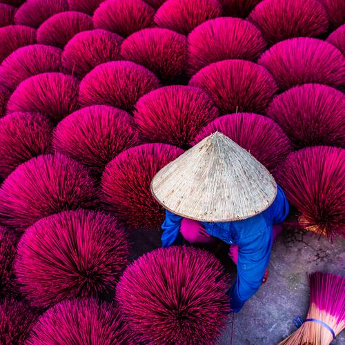 Photo #4384459