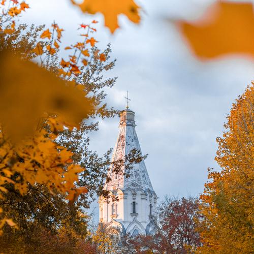 Photo #4384733