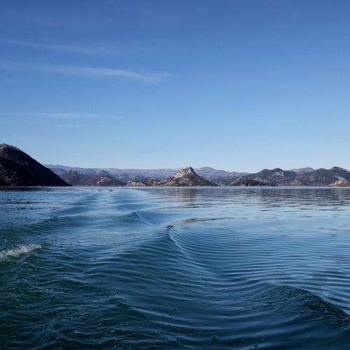 Photo #4385053