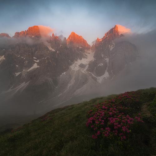 Фотография #4385137