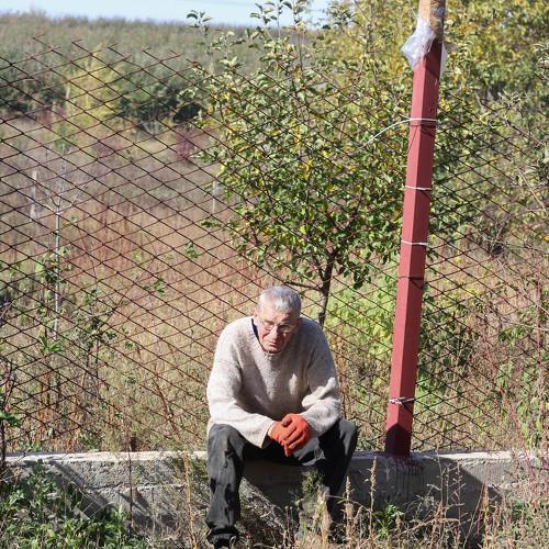 Photo #4385245