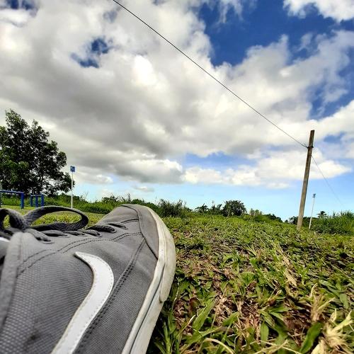 Photo #4385722