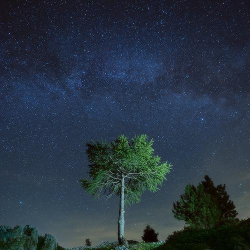 Фотография #4385852