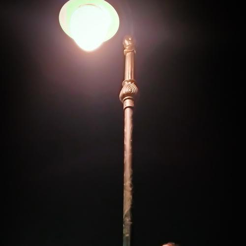 Photo #4385952