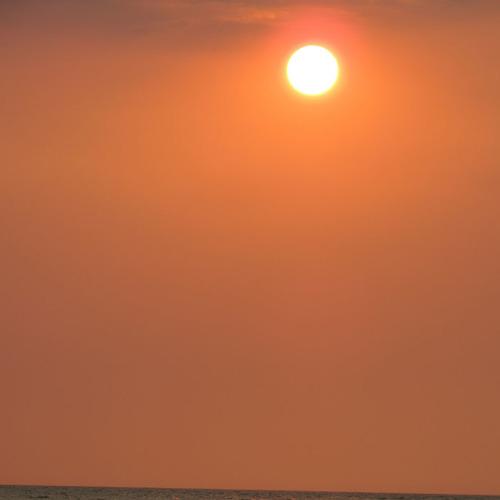 Photo #4386051