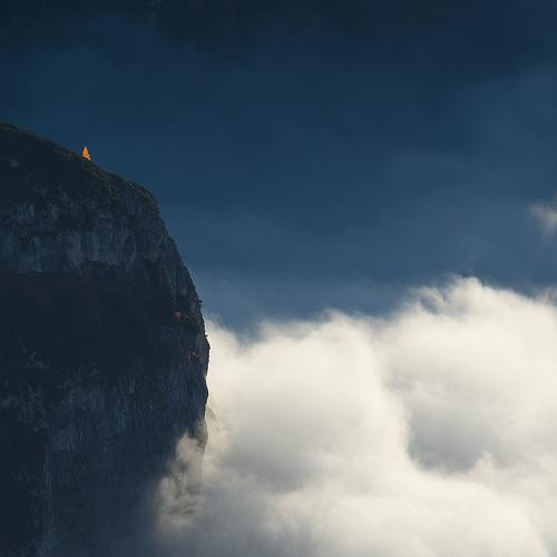 Single larch on mountain slope.