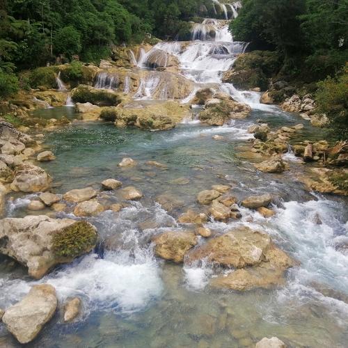 Photo #4386237