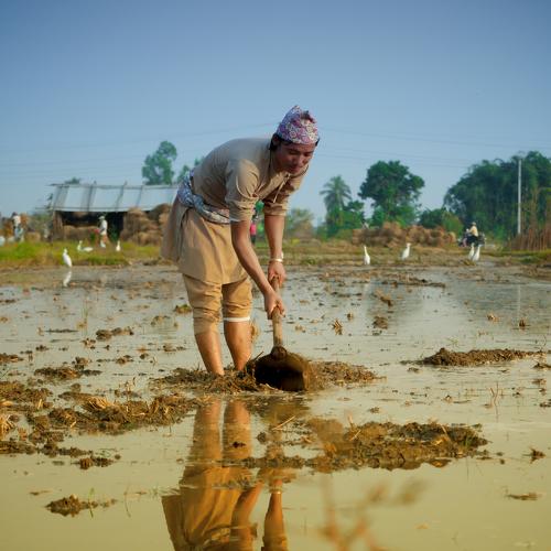 Photo #4386512