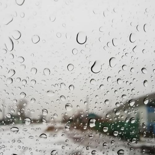 Photo #4386772