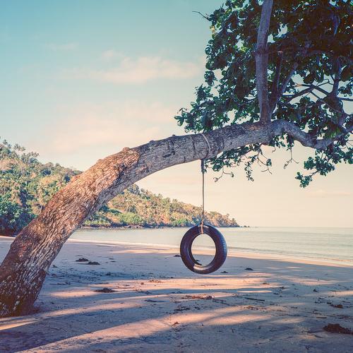 Photo #4386921