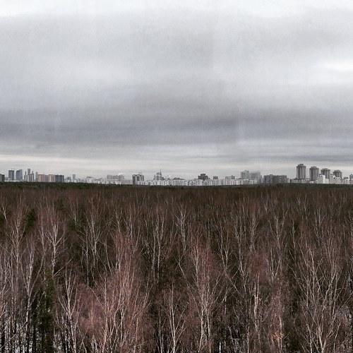 Photo #4387000