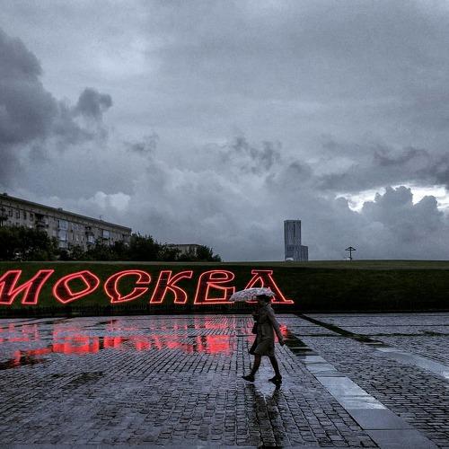 Photo #4387006