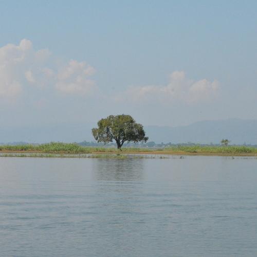 Beautiful Bangladesh.