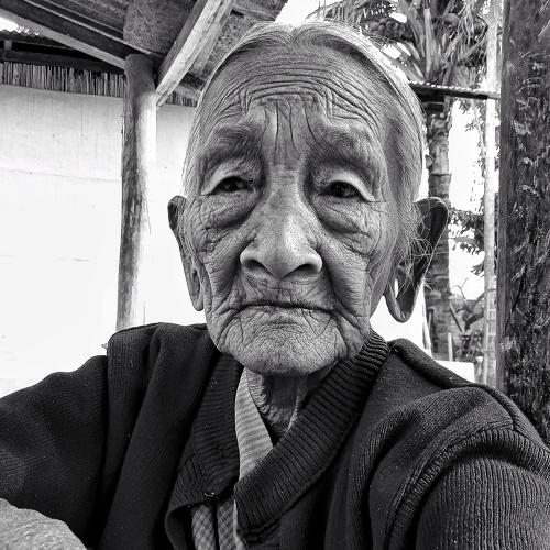 Photo #4387381
