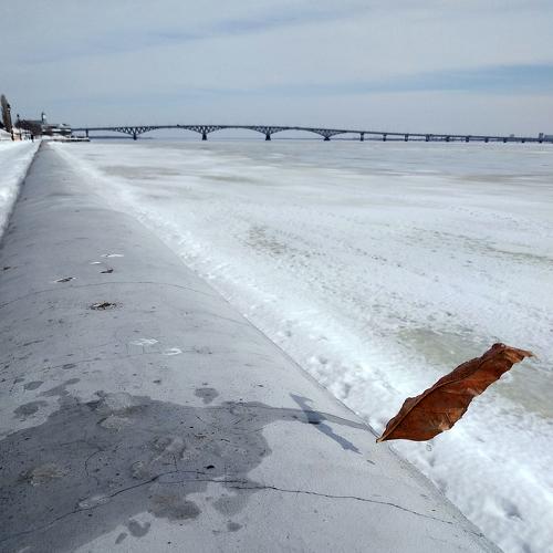 Ветром унесённый
