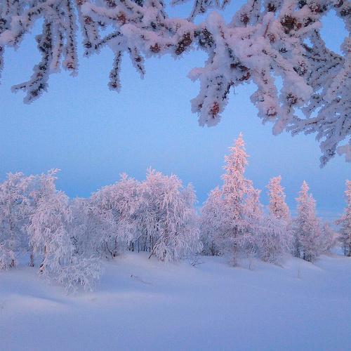 Photo #4387409
