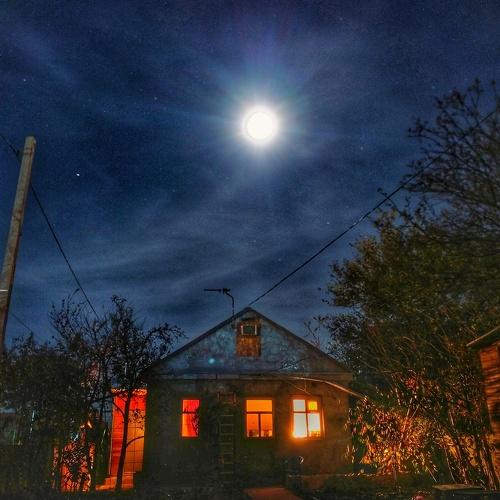 Photo #4387437