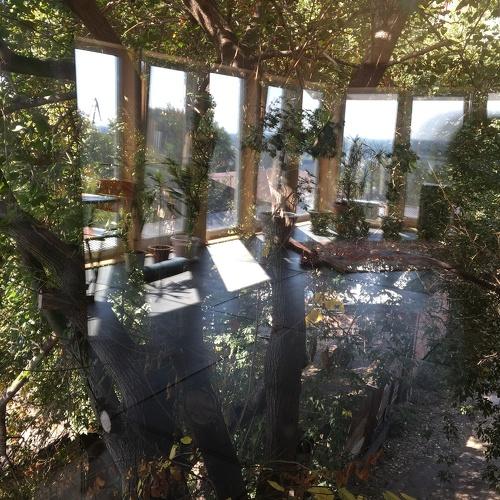 Photo #4387444