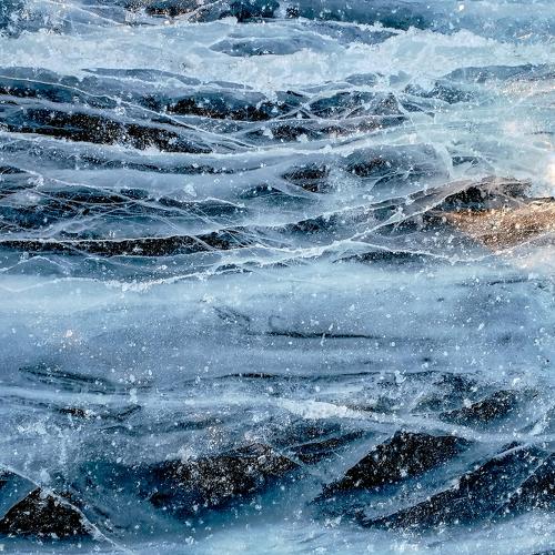 Photo #4387592