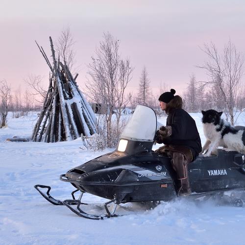 Photo #4387616