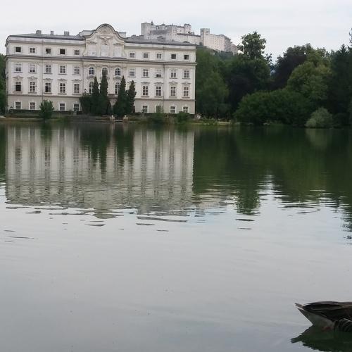 Photo #4388284