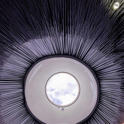 Photo #4388344