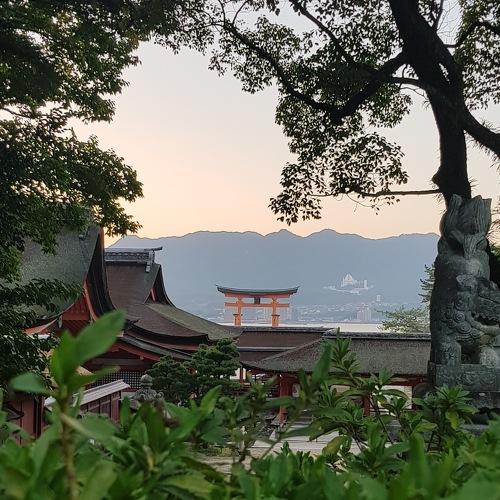 Photo #4388418