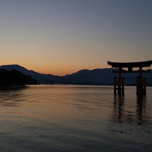 Photo #4388420