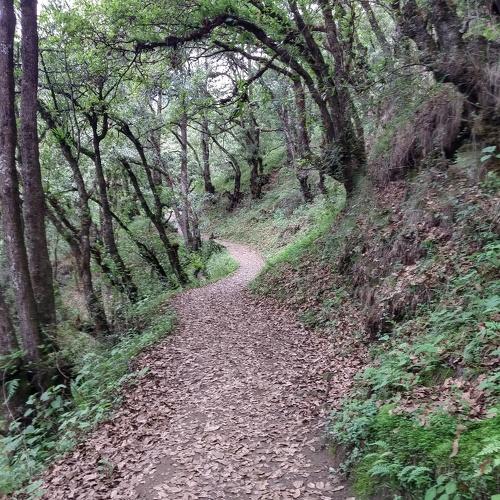 Photo #4388423