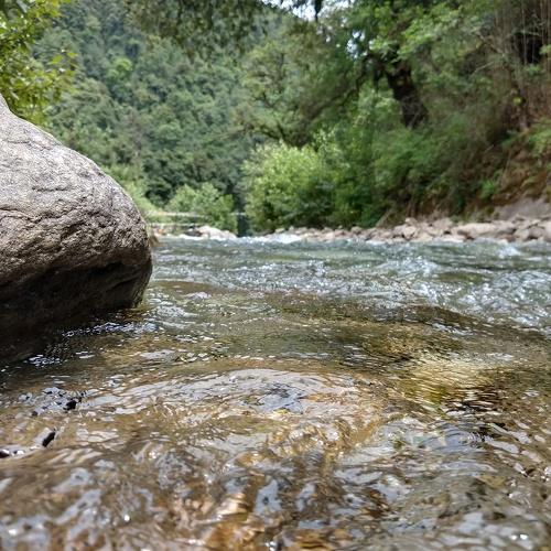 Photo #4388469