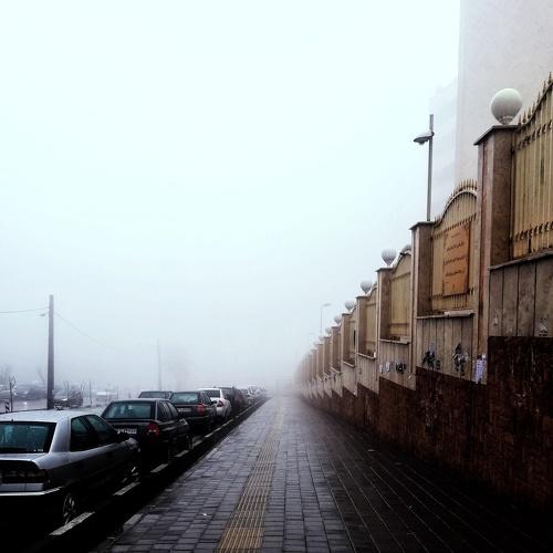 Photo #4388590