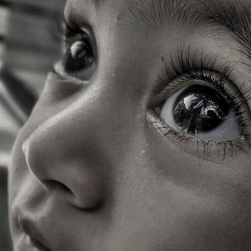 Photo #4388592