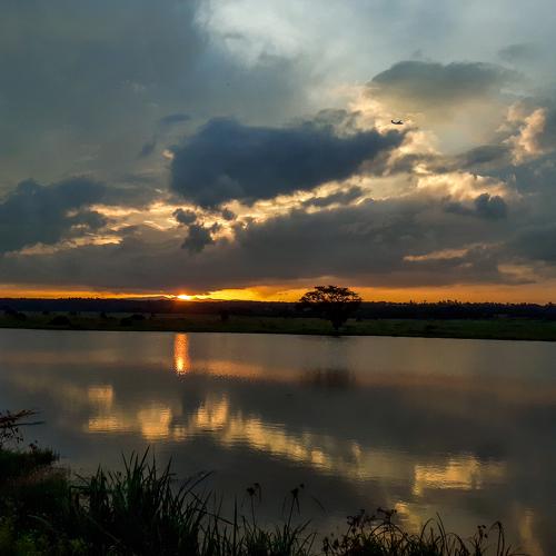 Photo #4389399