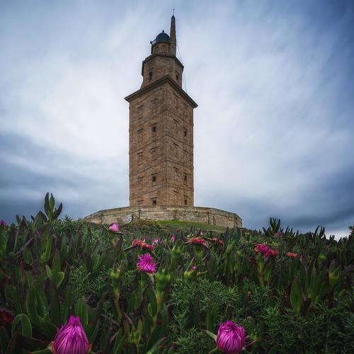Photo #4389407