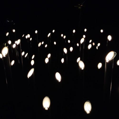 So many hopes into the dark