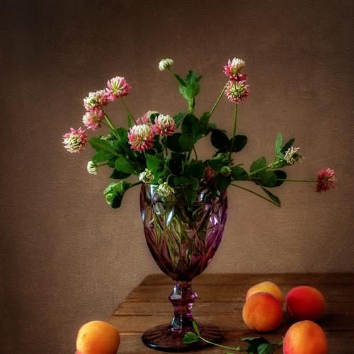 Photo #4389850