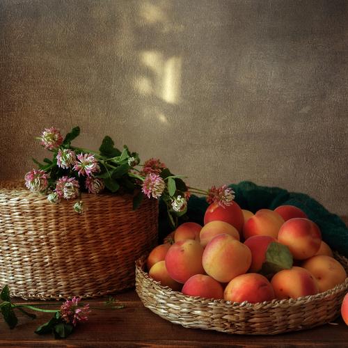 Photo #4389851