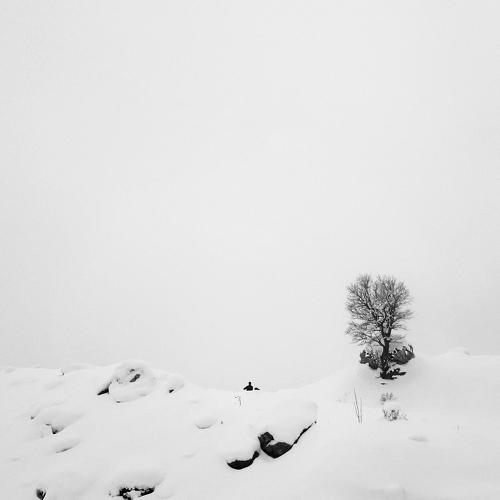 Photo #4389892