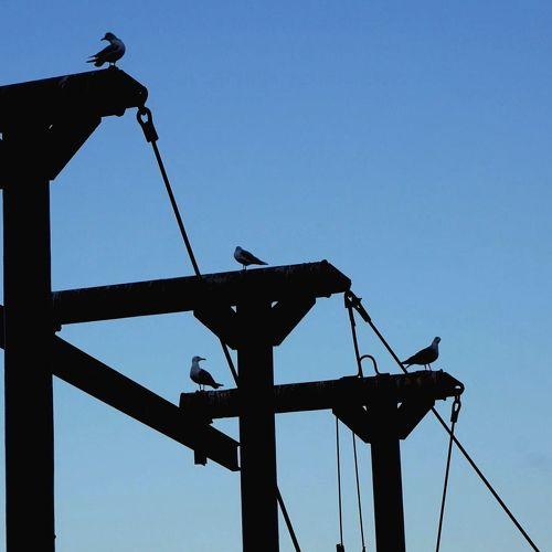 Photo #4390394