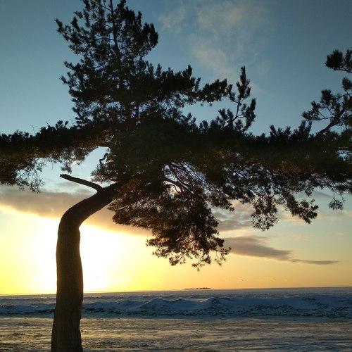 Photo #4390455