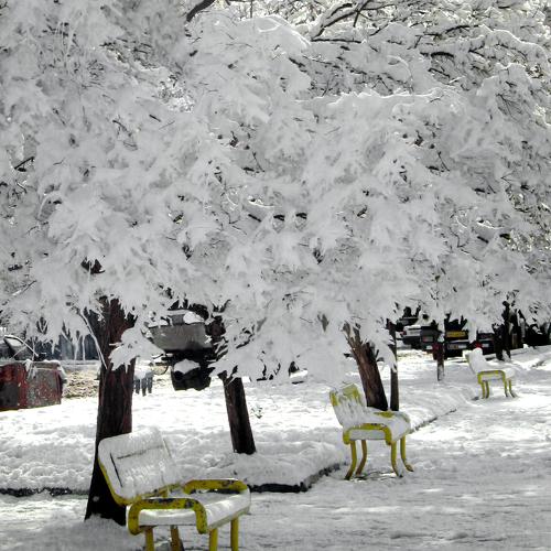 snow to park