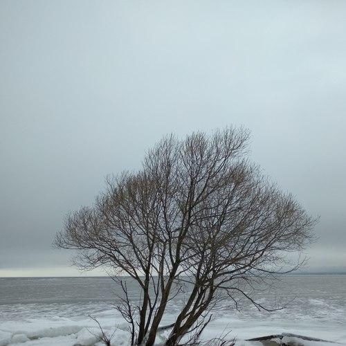 Photo #4390470