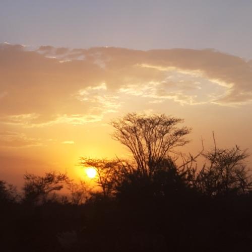 Photo #4390566